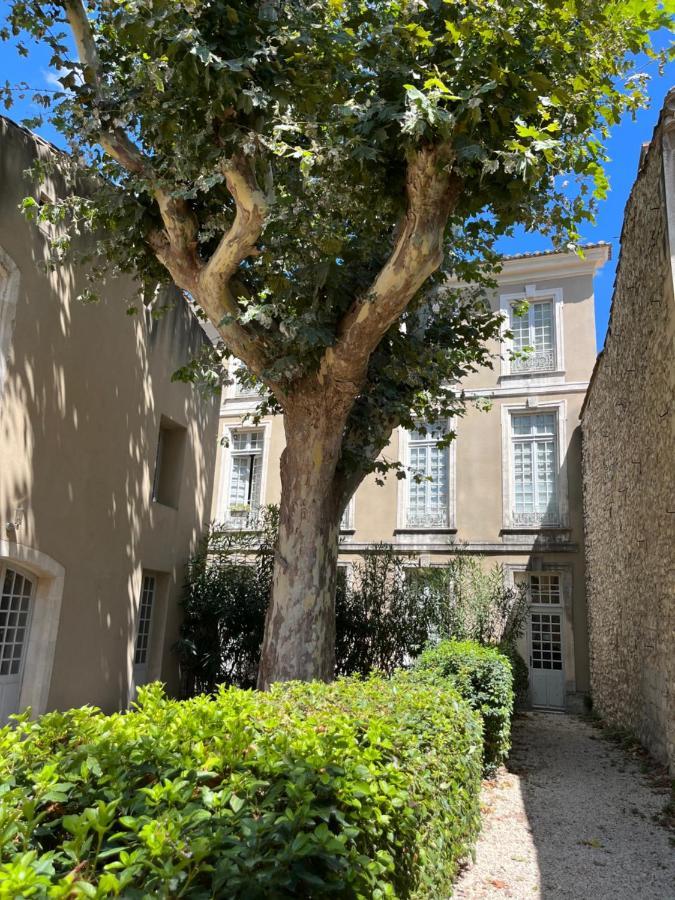 Superbe Appartement De Charme A 10Mn De Saint-Remy Noves Exterior foto